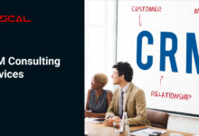 CRM consulting