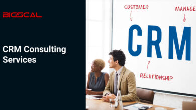CRM consulting