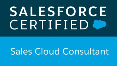 salesforce certified consultant