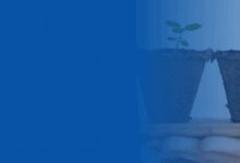 salesforce integration